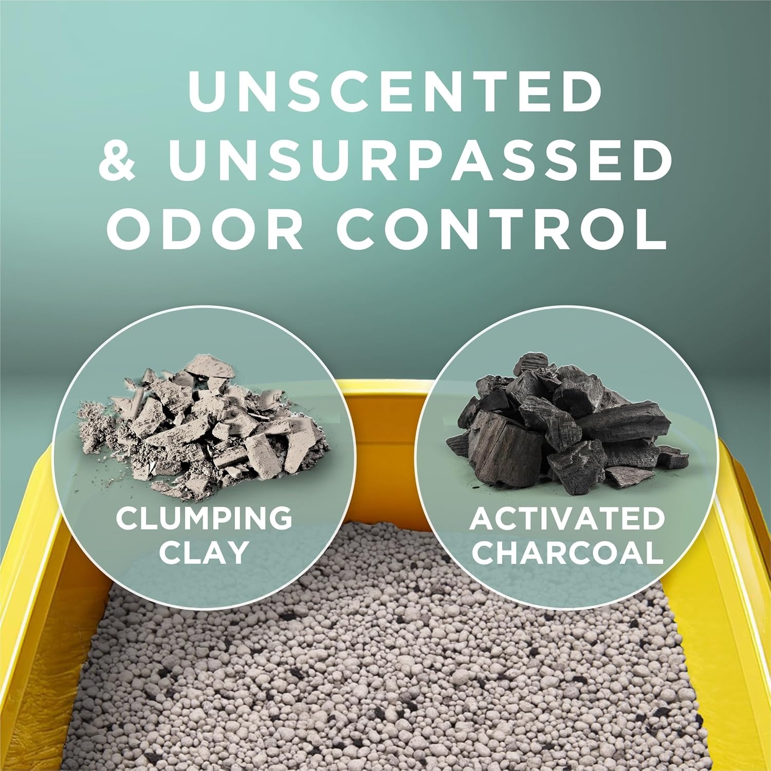 image:imagePurina Tidy Cats Free and Clean Unscented Clumping Cat Litter 38 lb Box Activated charcoal delivers lasting odor control made without fragrances or dye clumping16 Pound Pack of 1