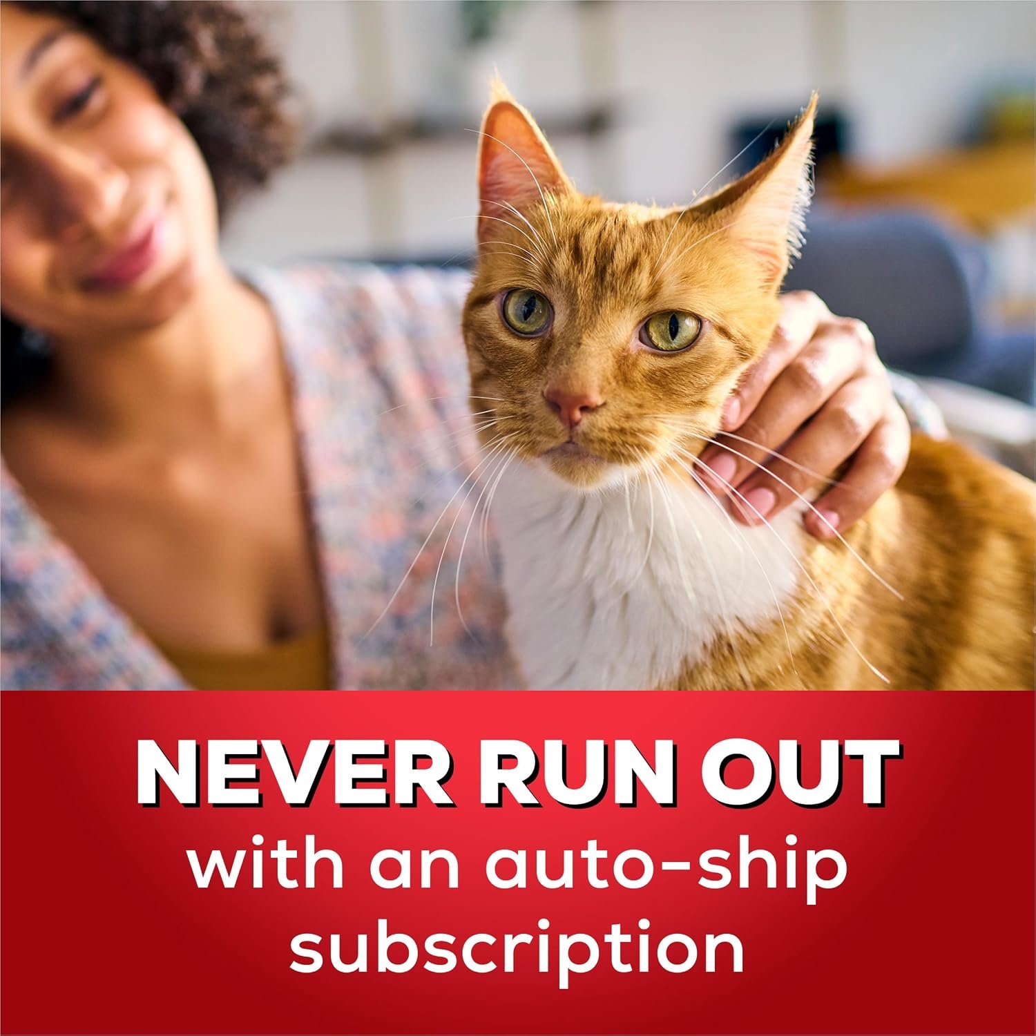 image:imagePurina Tidy Cats LightWeight 4in1 Strength Cat Litter 17 lb 999 dustfree formula 21day odor control tight clumping for multicat homes easy to carry40 Pound Pack of 1