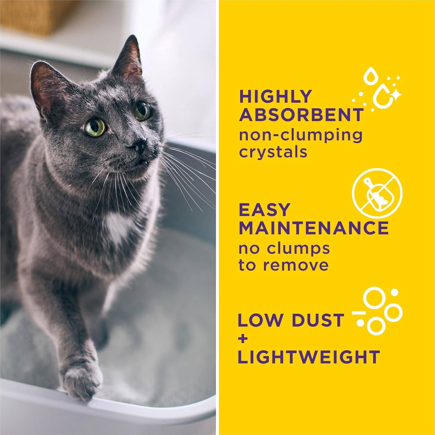 image:imagePurina Tidy Cats Tidy Care Alert Cat Health Monitoring Non Clumping Cat Litter with Silica Crystals 8 Pound Pack of 28 Pound Pack of 1