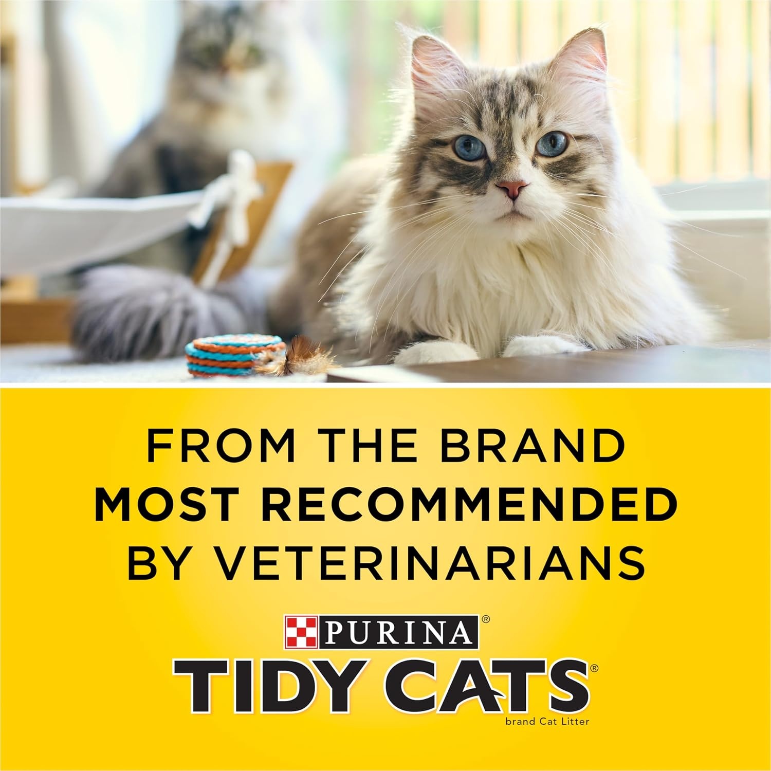 image:imagePurina Tidy Cats Tidy Care Alert Cat Health Monitoring Non Clumping Cat Litter with Silica Crystals 8 Pound Pack of 28 Pound Pack of 2